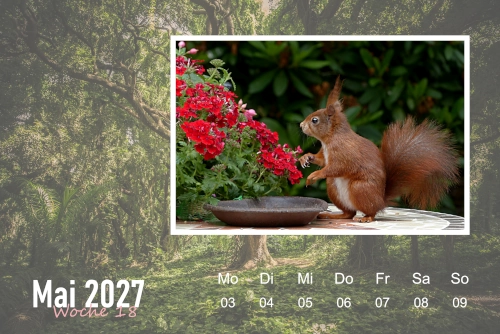 Wochenkalender